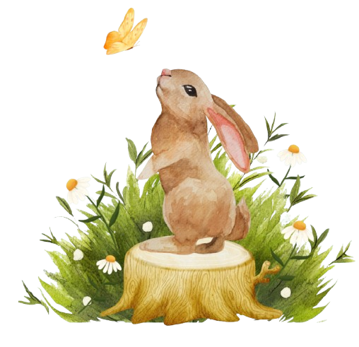 Imgem de Coelho brincando com uma borboleta.